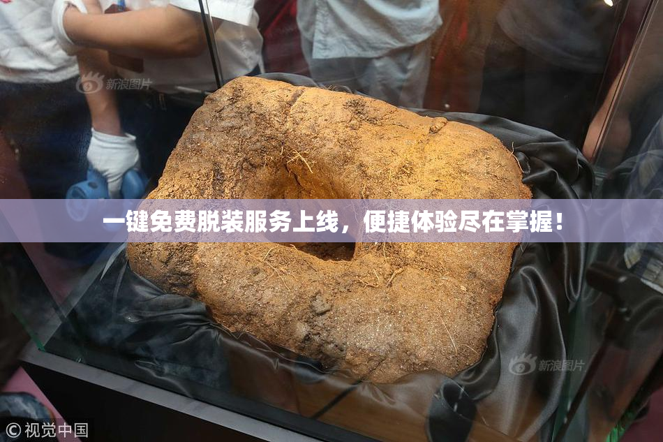 一键免费脱装服务上线，便捷体验尽在掌握！