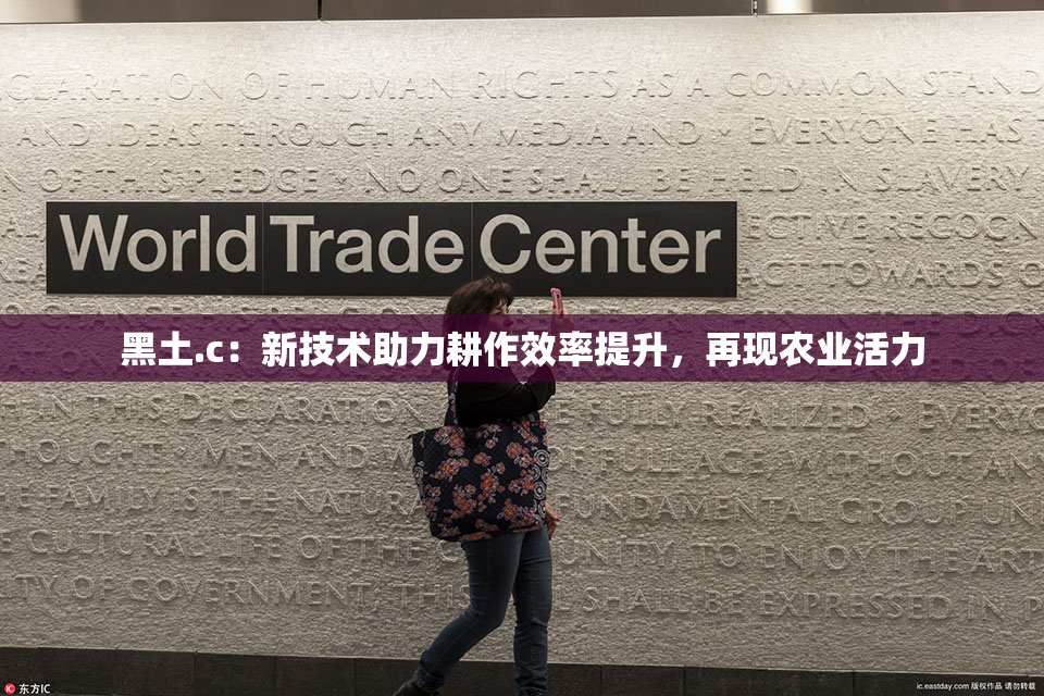 黑土.c：新技术助力耕作效率提升，再现农业活力