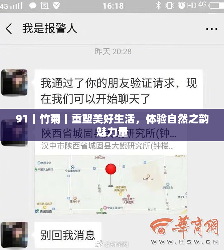 91丨竹菊丨重塑美好生活，体验自然之韵魅力量