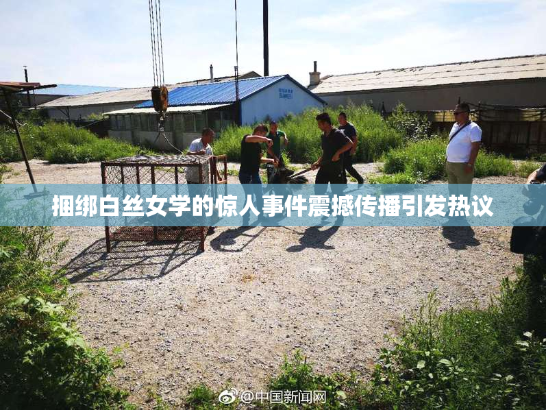 捆绑白丝女学的惊人事件震撼传播引发热议