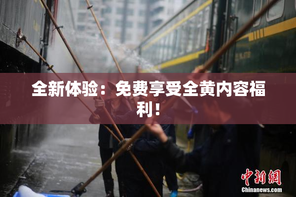 全新体验：免费享受全黄内容福利！