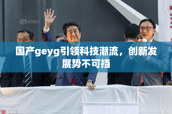 国产geyg引领科技潮流，创新发展势不可挡