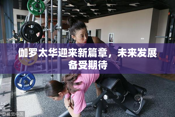 伽罗太华迎来新篇章，未来发展备受期待