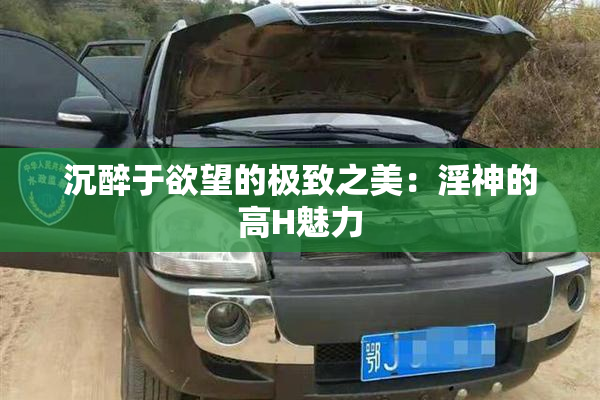 沉醉于欲望的极致之美：淫神的高H魅力