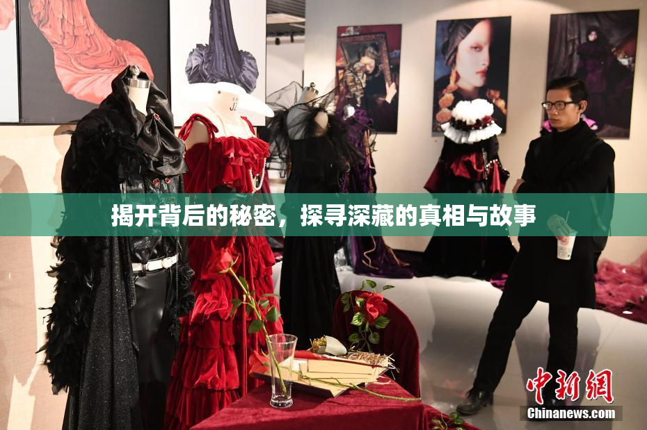 揭开背后的秘密，探寻深藏的真相与故事