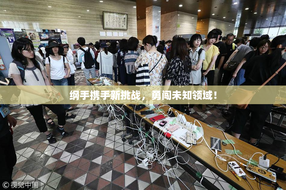 纲手携手新挑战，勇闯未知领域！
