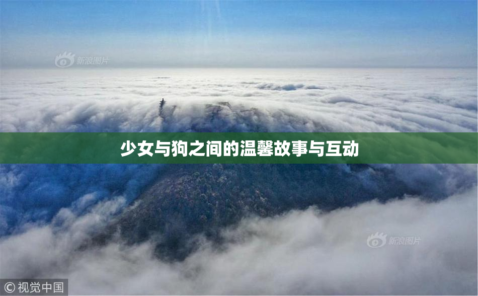 少女与狗之间的温馨故事与互动