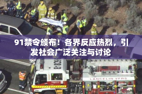 91禁令颁布！各界反应热烈，引发社会广泛关注与讨论