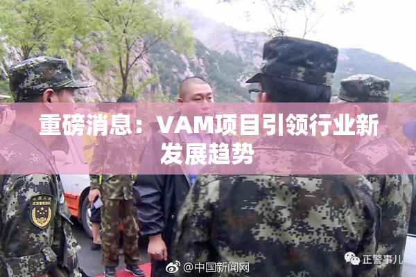 重磅消息：VAM项目引领行业新发展趋势