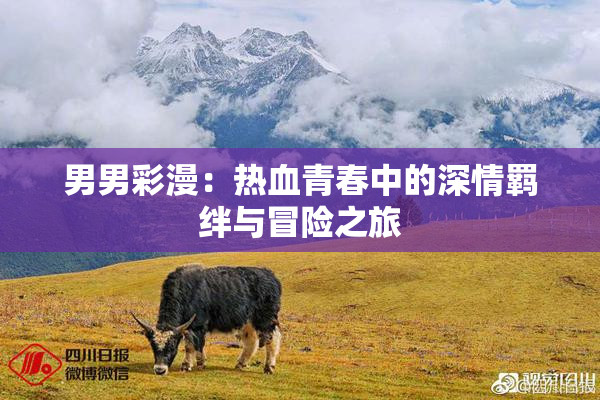 男男彩漫：热血青春中的深情羁绊与冒险之旅