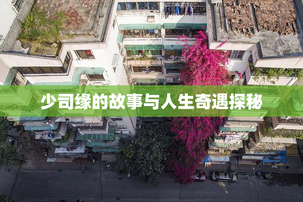 少司缘的故事与人生奇遇探秘
