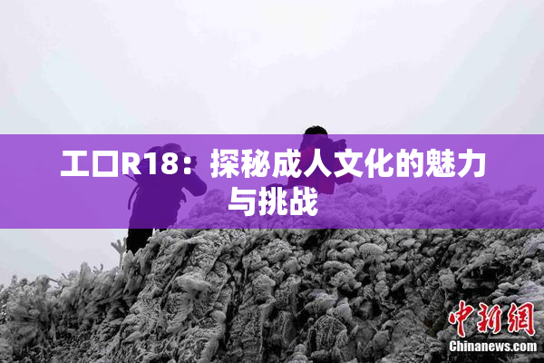 工口R18：探秘成人文化的魅力与挑战