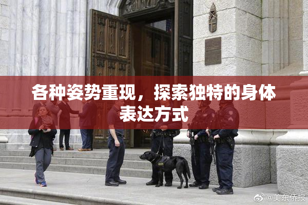 各种姿势重现，探索独特的身体表达方式