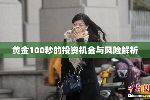 黄金100秒的投资机会与风险解析