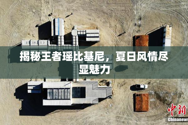 揭秘王者瑶比基尼，夏日风情尽显魅力