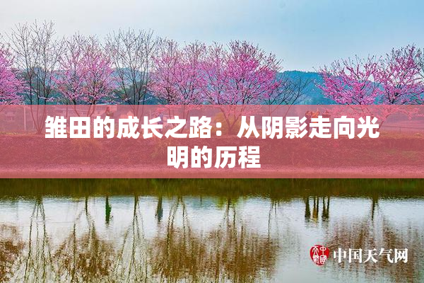 雏田的成长之路：从阴影走向光明的历程
