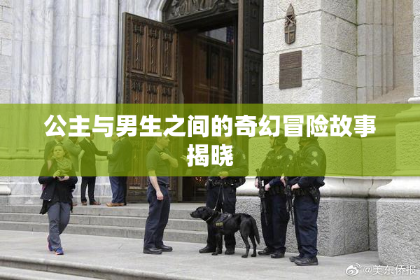 公主与男生之间的奇幻冒险故事揭晓