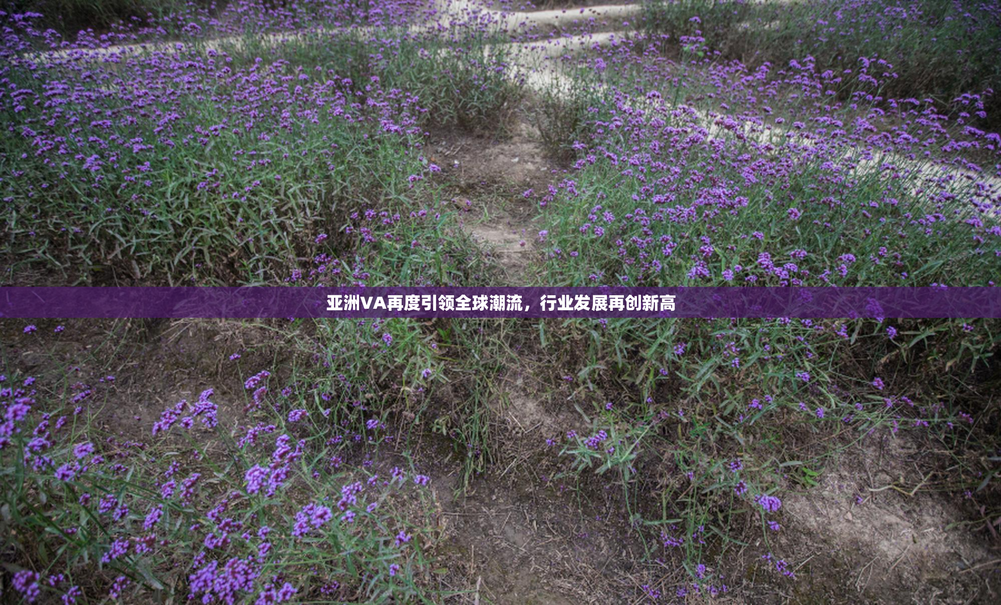 亚洲VA再度引领全球潮流，行业发展再创新高
