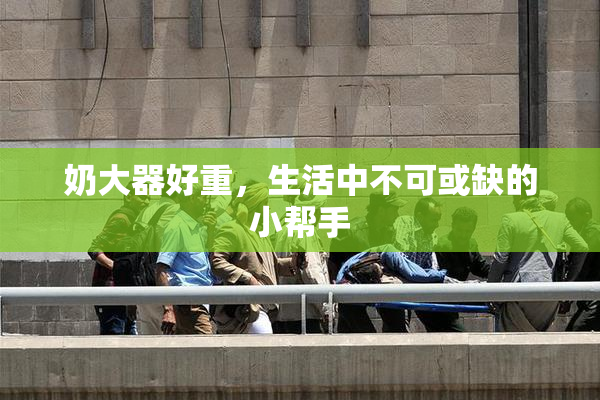 奶大器好重，生活中不可或缺的小帮手