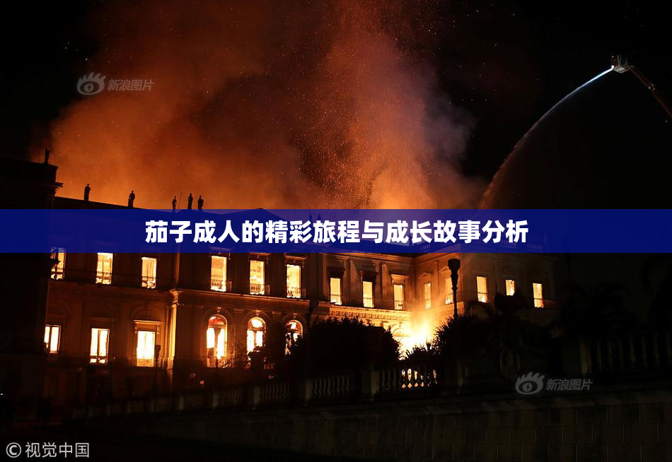茄子成人的精彩旅程与成长故事分析