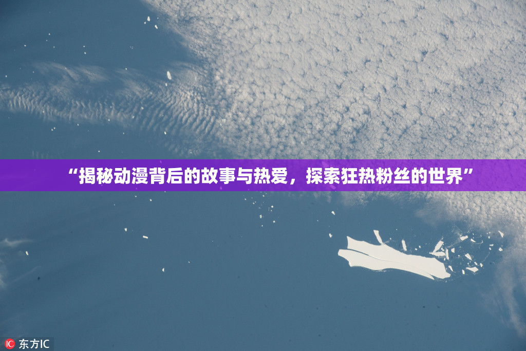 “揭秘动漫背后的故事与热爱，探索狂热粉丝的世界”