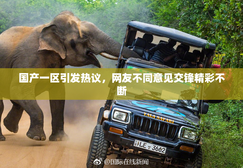 国产一区引发热议，网友不同意见交锋精彩不断