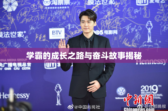 学霸的成长之路与奋斗故事揭秘