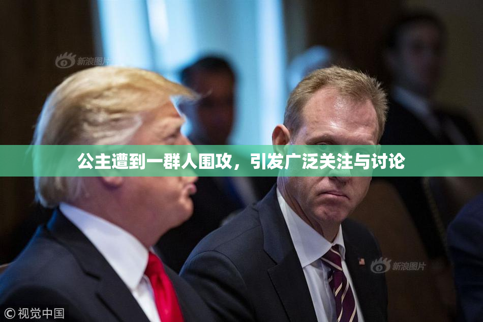 公主遭到一群人围攻，引发广泛关注与讨论