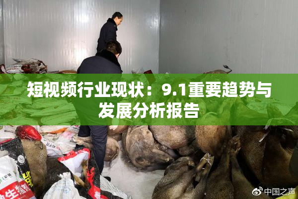短视频行业现状：9.1重要趋势与发展分析报告