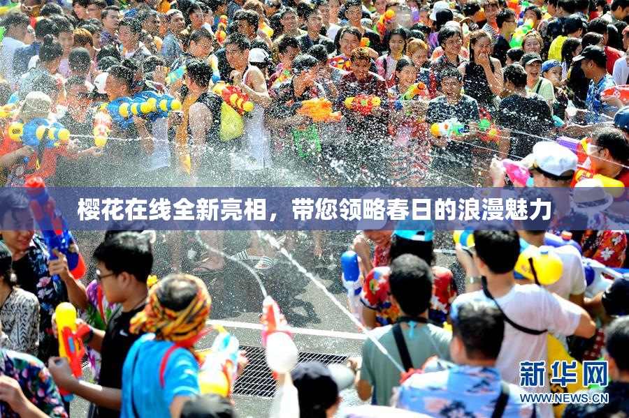 樱花在线全新亮相，带您领略春日的浪漫魅力