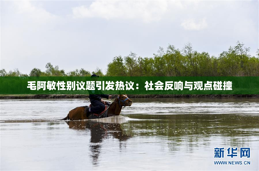 毛阿敏性别议题引发热议：社会反响与观点碰撞