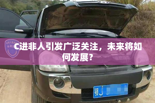 C进非人引发广泛关注，未来将如何发展？