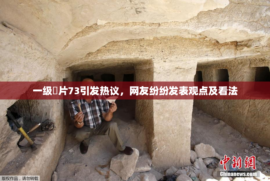 一级婬片73引发热议，网友纷纷发表观点及看法