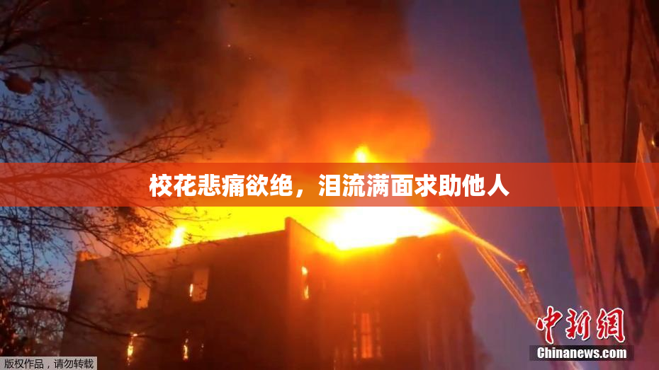 校花悲痛欲绝，泪流满面求助他人