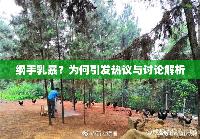 纲手乳暴？为何引发热议与讨论解析