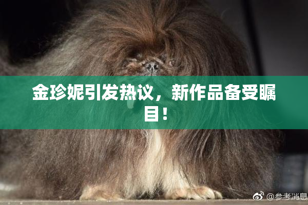 金珍妮引发热议，新作品备受瞩目！