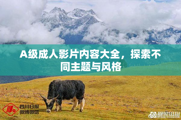 A级成人影片内容大全，探索不同主题与风格
