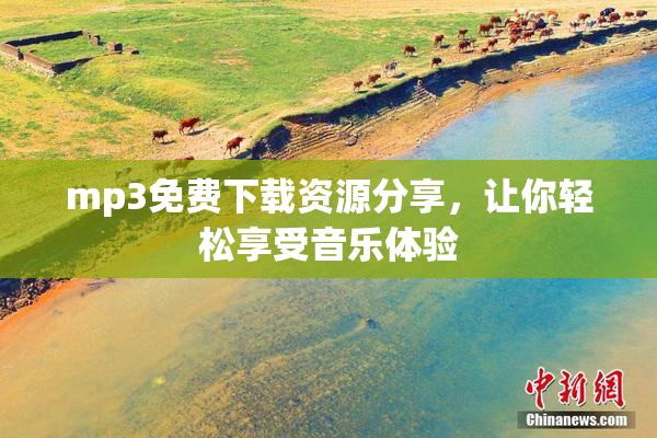 mp3免费下载资源分享，让你轻松享受音乐体验