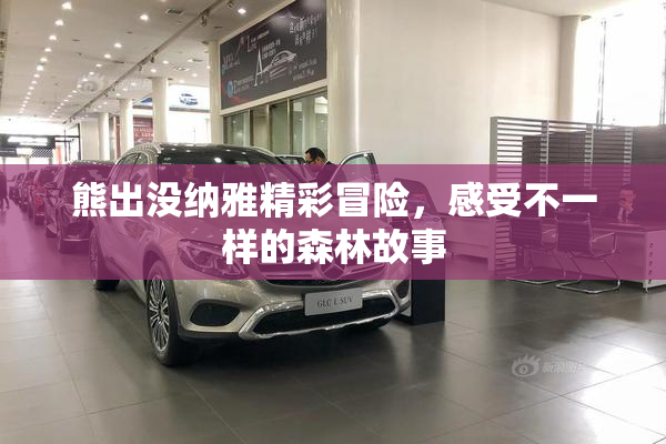 熊出没纳雅精彩冒险，感受不一样的森林故事