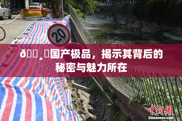 🌸‌国产极品，揭示其背后的秘密与魅力所在