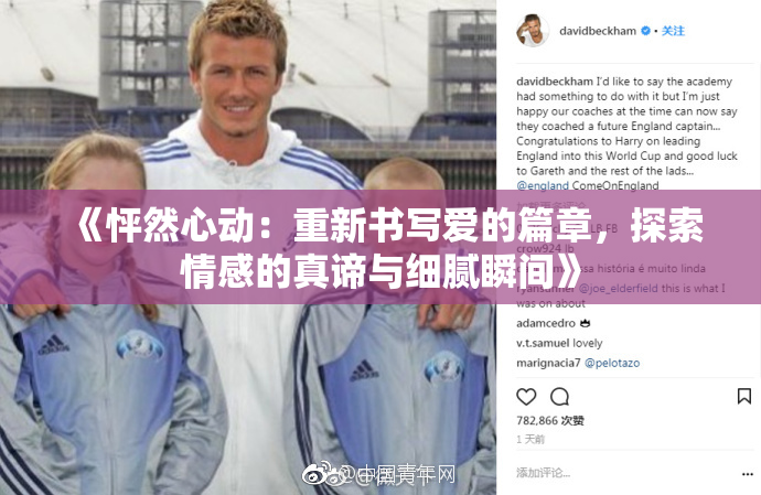 《怦然心动：重新书写爱的篇章，探索情感的真谛与细腻瞬间》