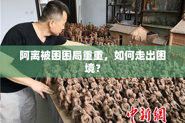 阿离被困困局重重，如何走出困境？