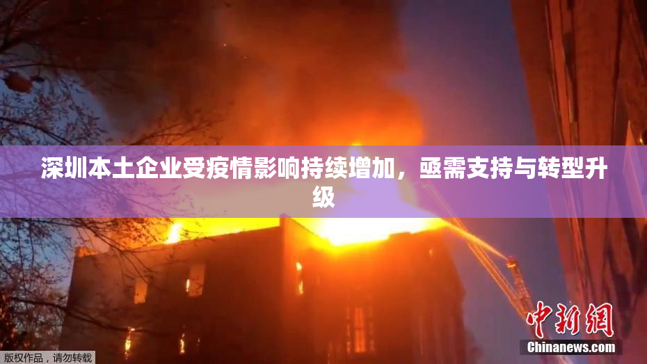 深圳本土企业受疫情影响持续增加，亟需支持与转型升级