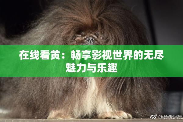 在线看黄：畅享影视世界的无尽魅力与乐趣