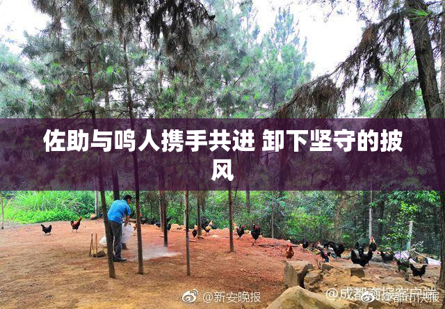 佐助与鸣人携手共进 卸下坚守的披风
