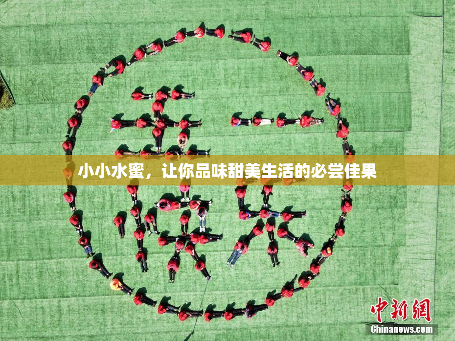 小小水蜜，让你品味甜美生活的必尝佳果