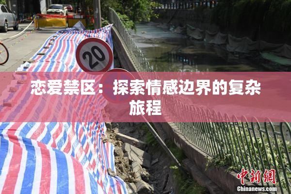 恋爱禁区：探索情感边界的复杂旅程