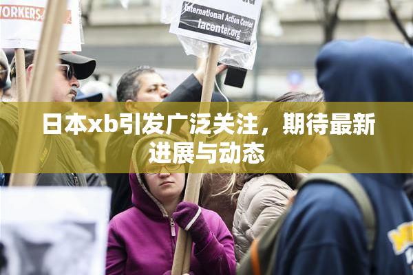 日本xb引发广泛关注，期待最新进展与动态