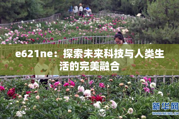 e621ne：探索未来科技与人类生活的完美融合