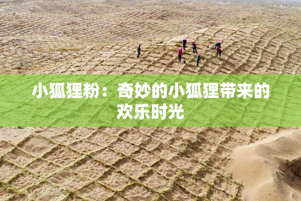 小狐狸粉：奇妙的小狐狸带来的欢乐时光